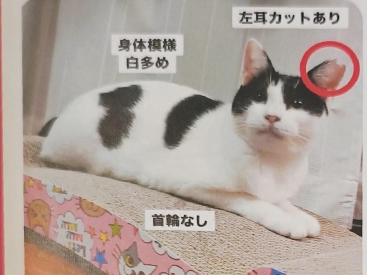 エクちゃん エクちゃん