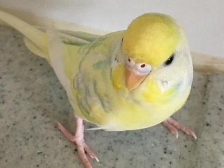 アースちゃん アースちゃん
