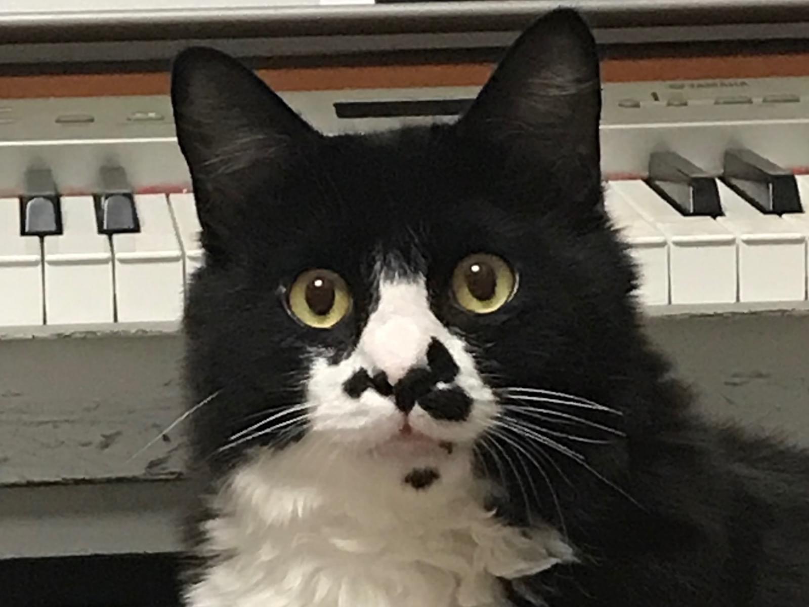 あおちゃん あおちゃん