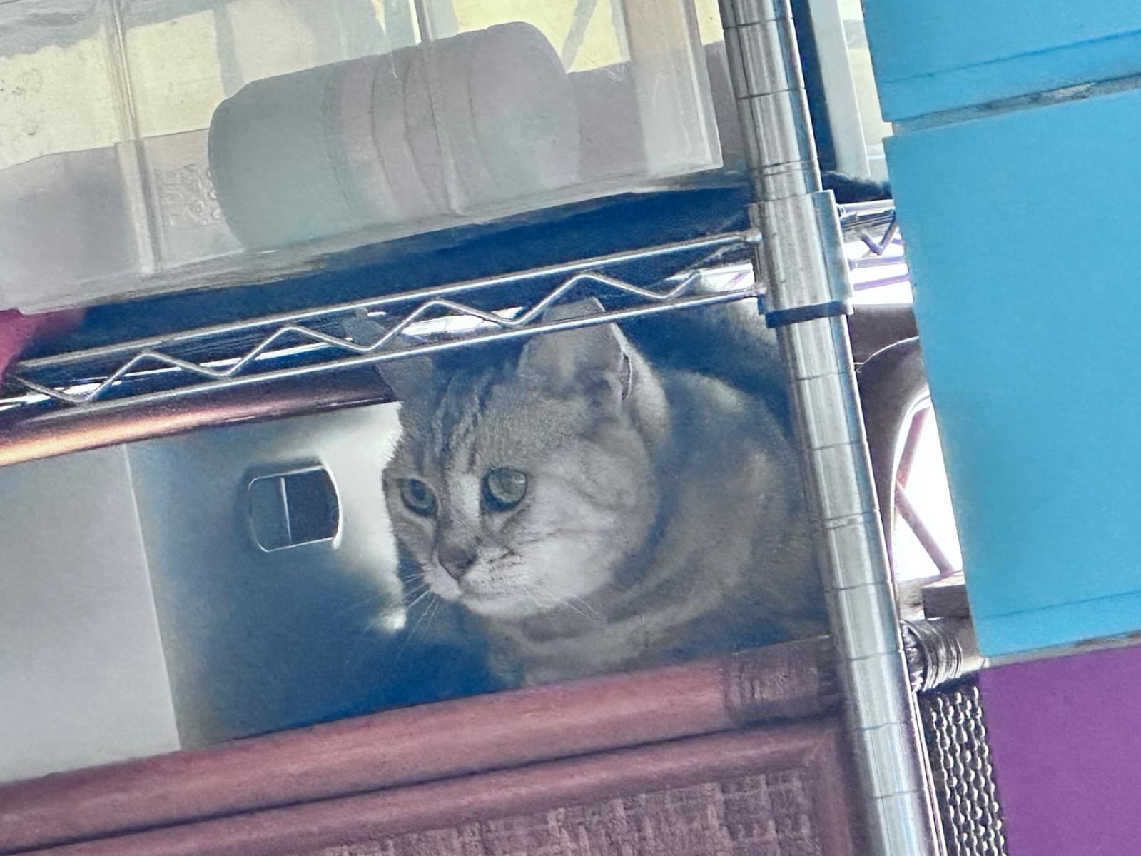 なつちゃん なつちゃん