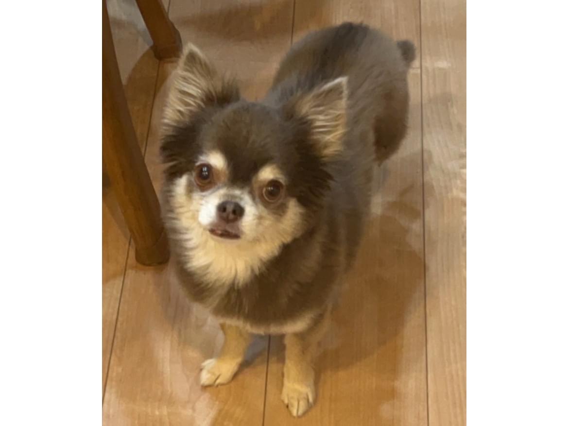 アリスちゃん アリスちゃん