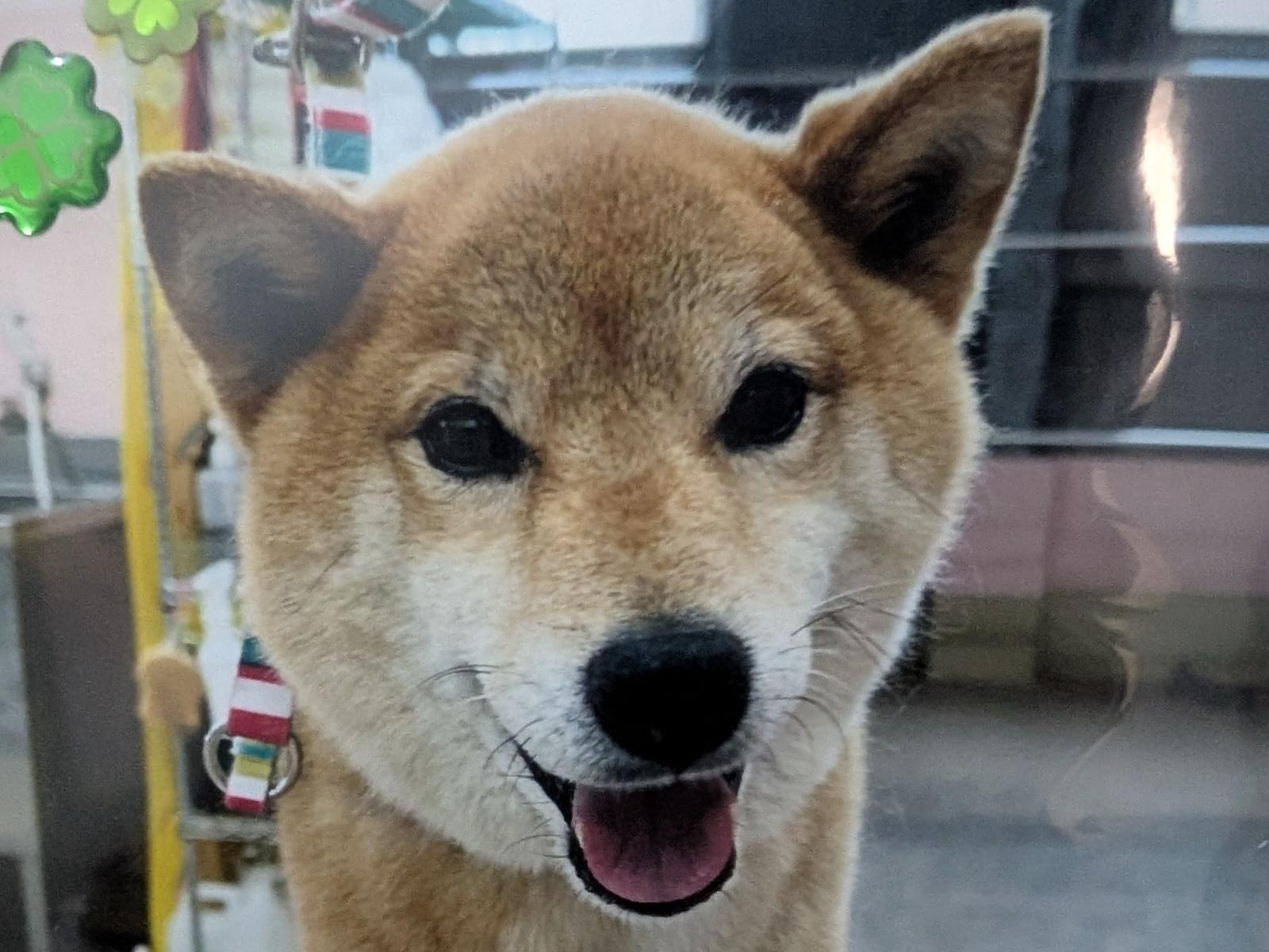 とらじちゃん とらじちゃん