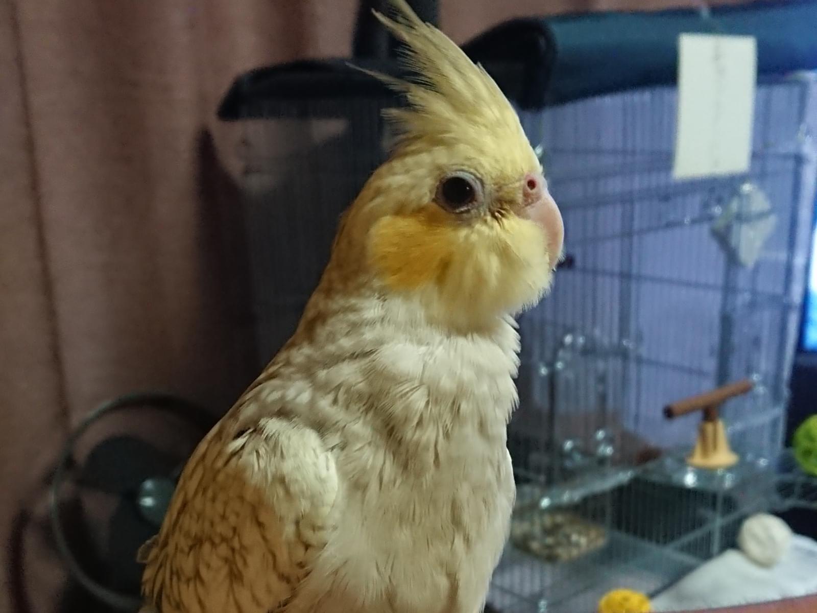 つーちゃん つーちゃん
