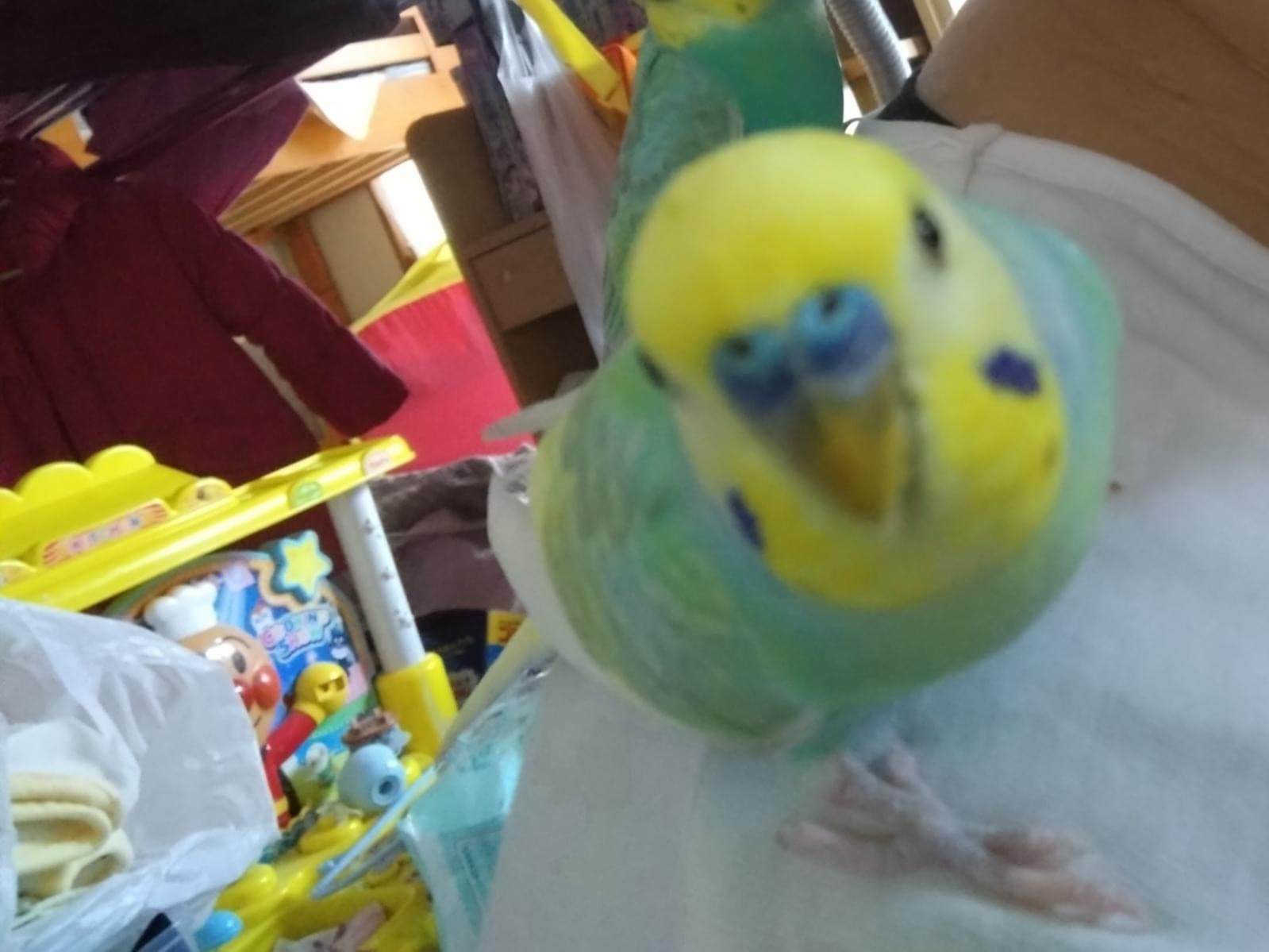 すきちゃん すきちゃん