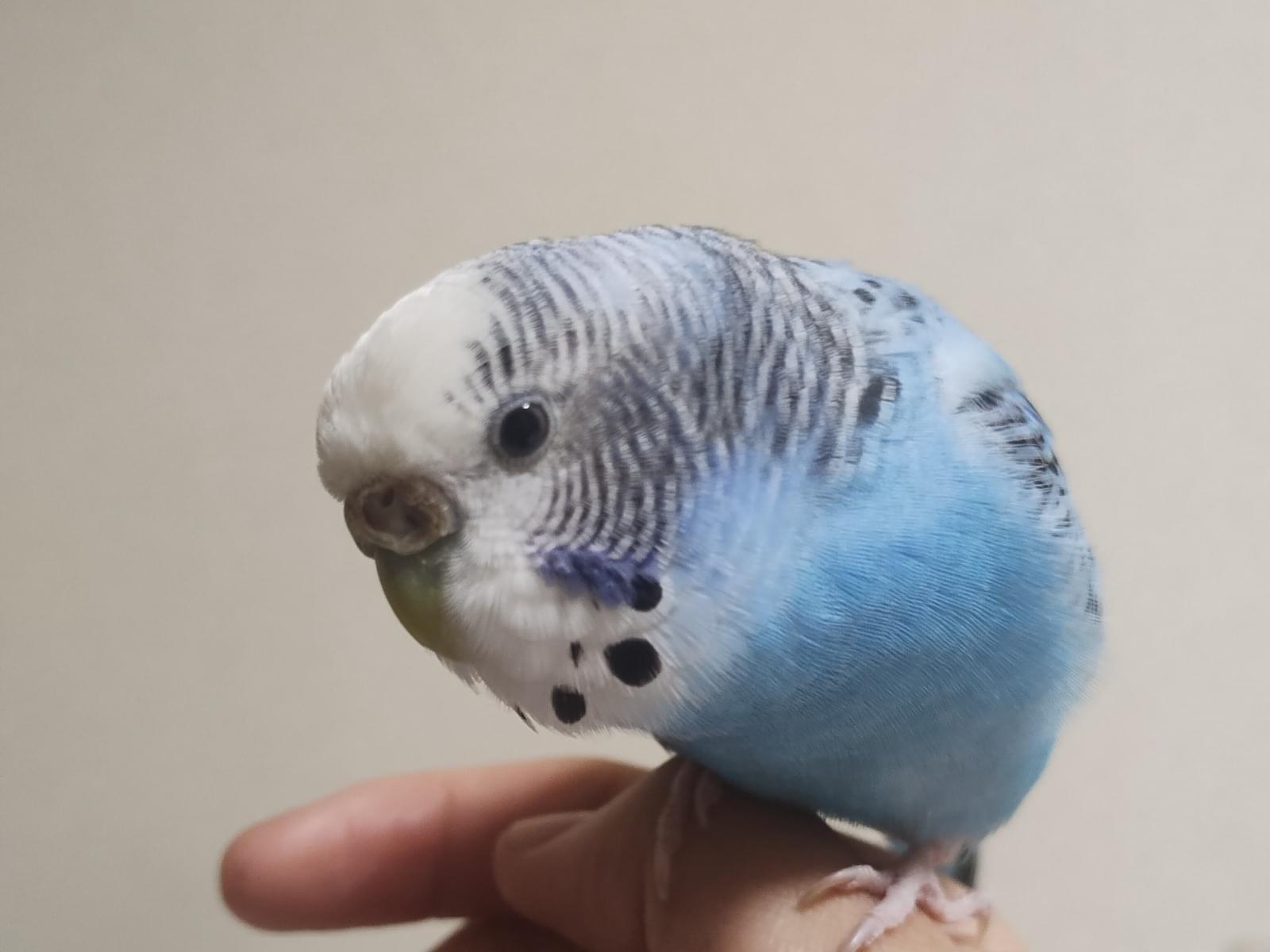 あーちゃん あーちゃん