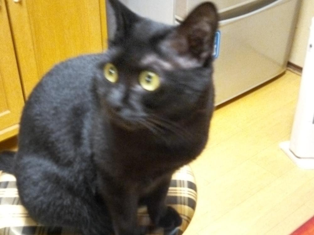 にいちゃん にいちゃん