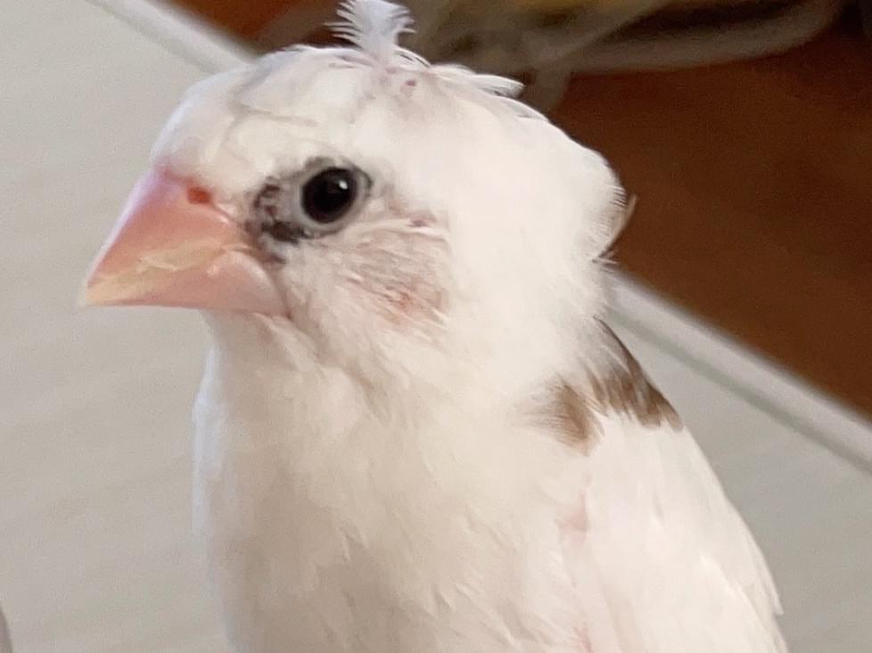 テンちゃん テンちゃん
