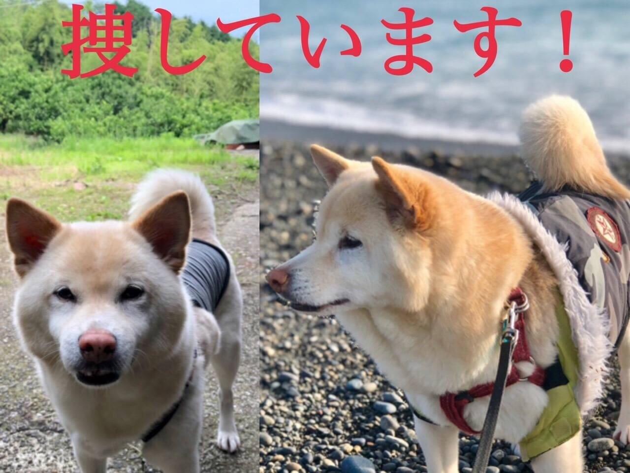 かいちゃん かいちゃん
