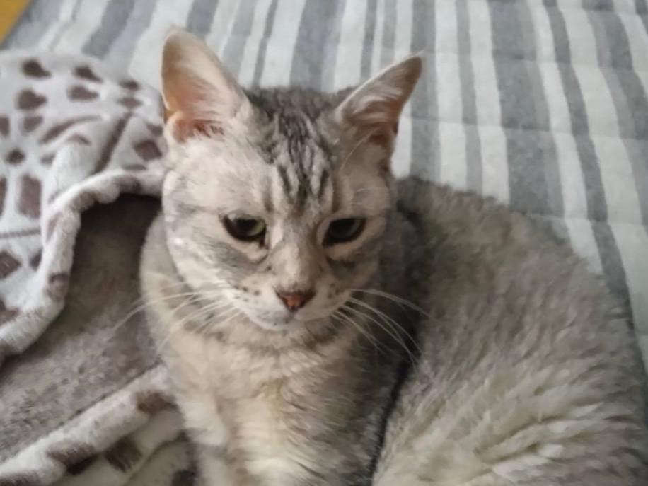 しょうちゃん しょうちゃん