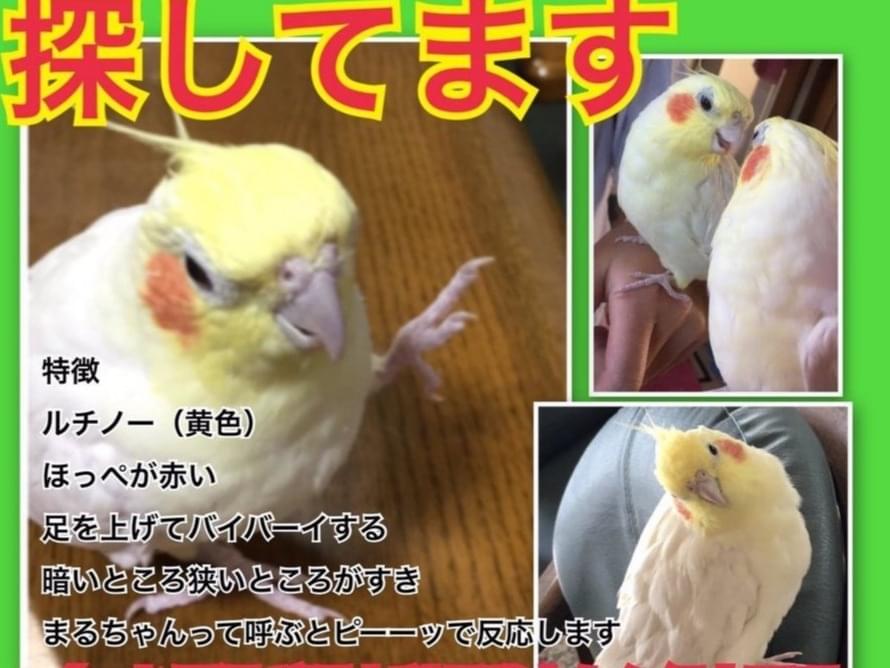 まるちゃん まるちゃん