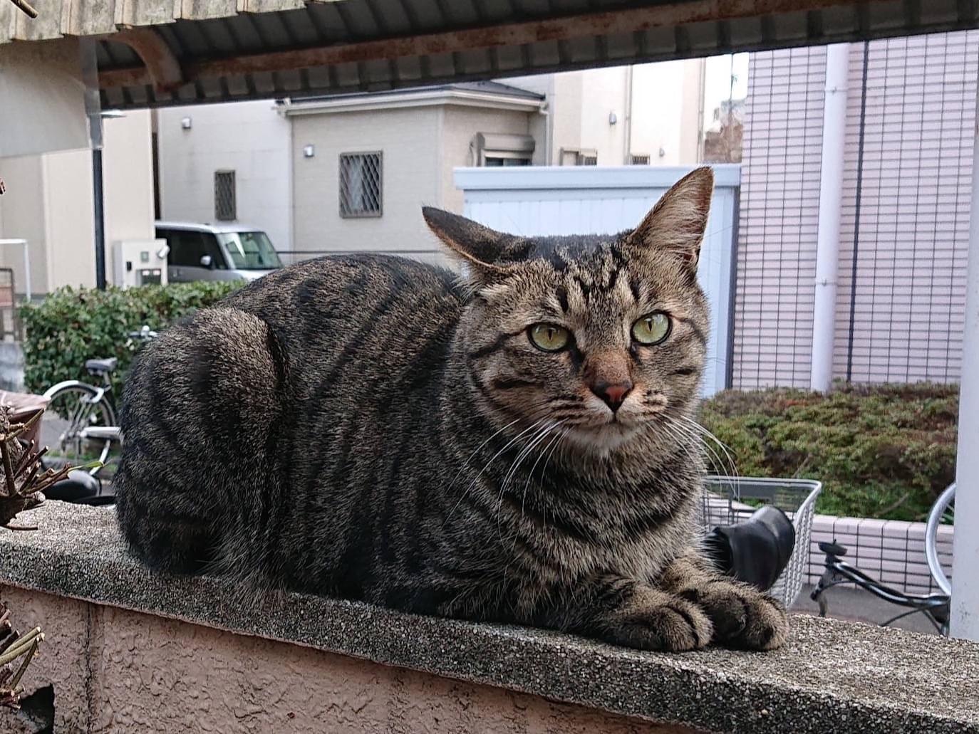 はるちゃん はるちゃん
