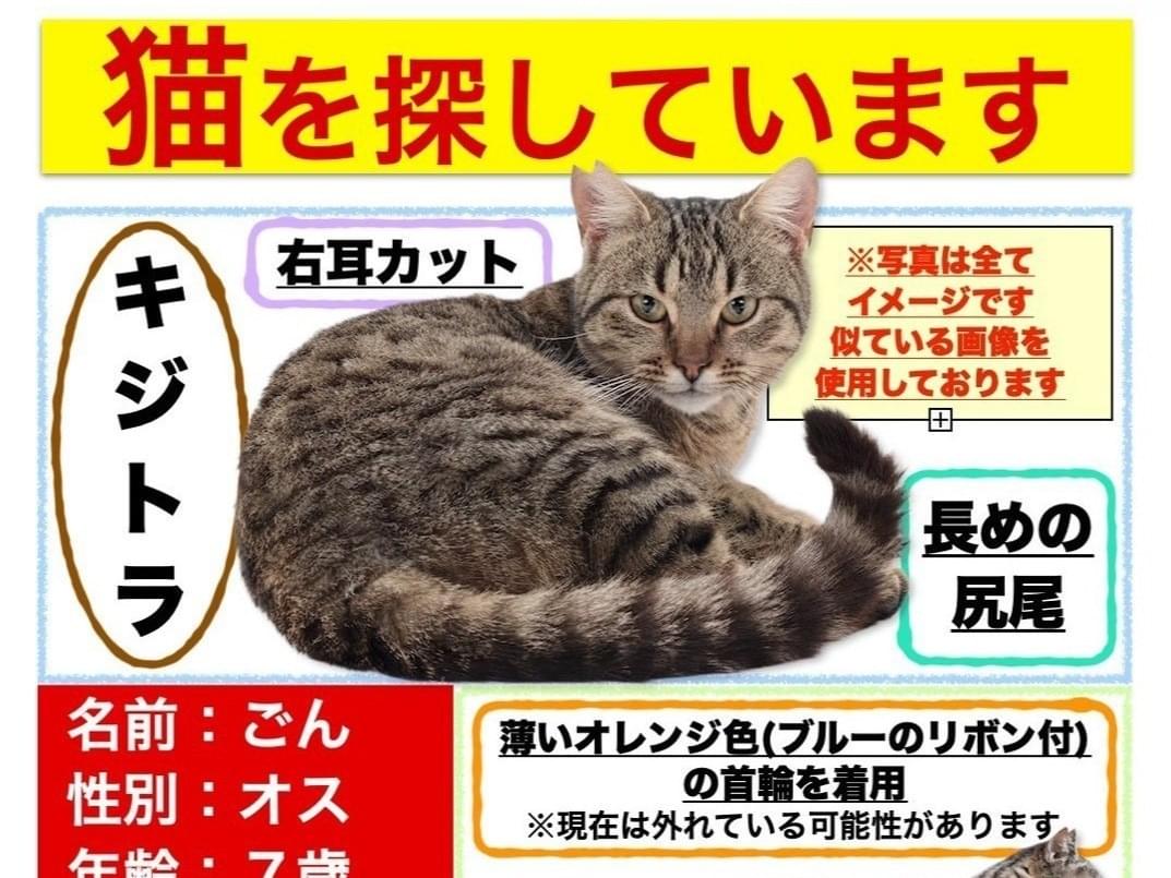 ごんちゃん