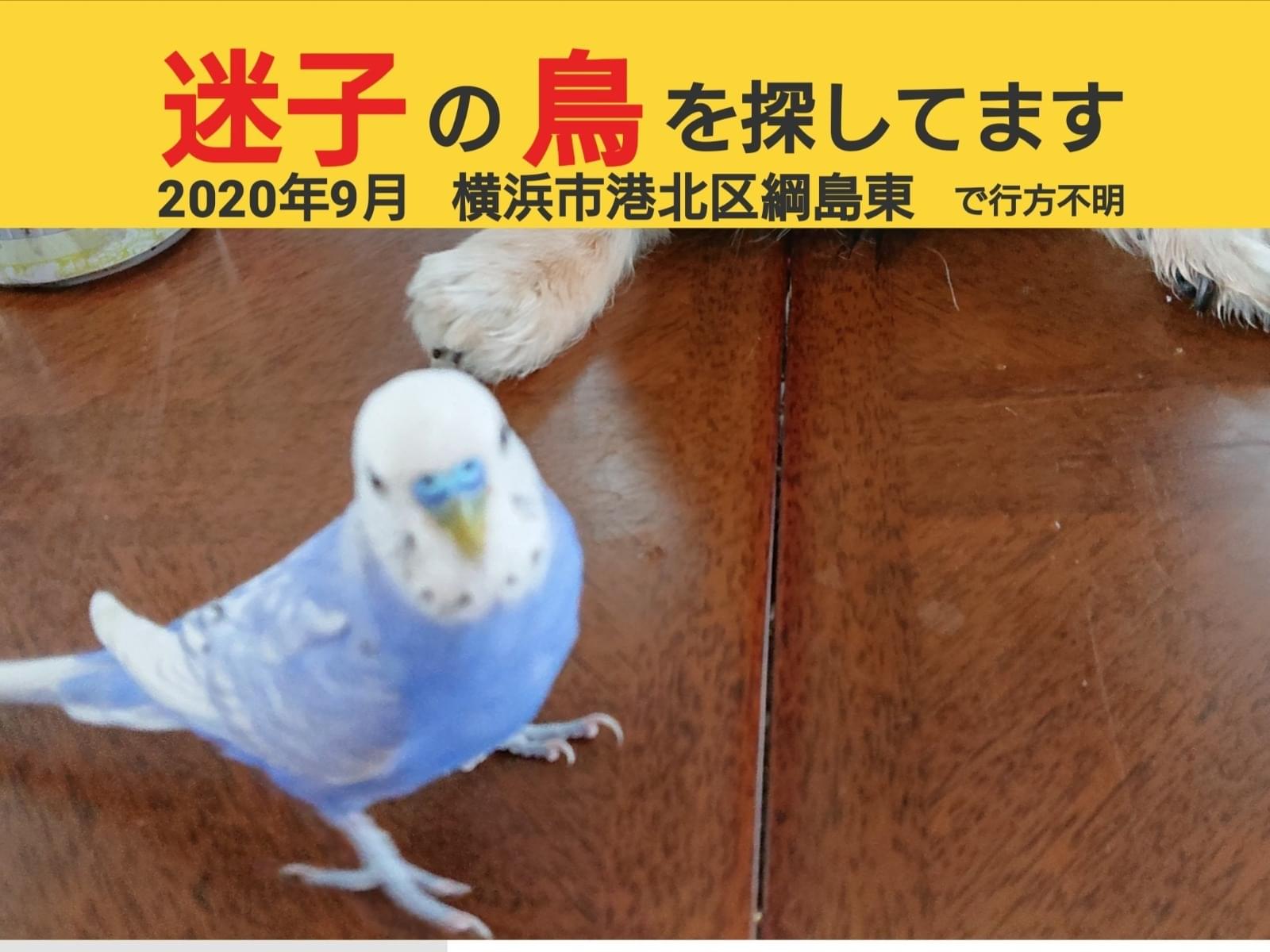 太郎ちゃん 太郎ちゃん