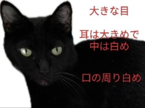 チビチビちゃん チビチビちゃん