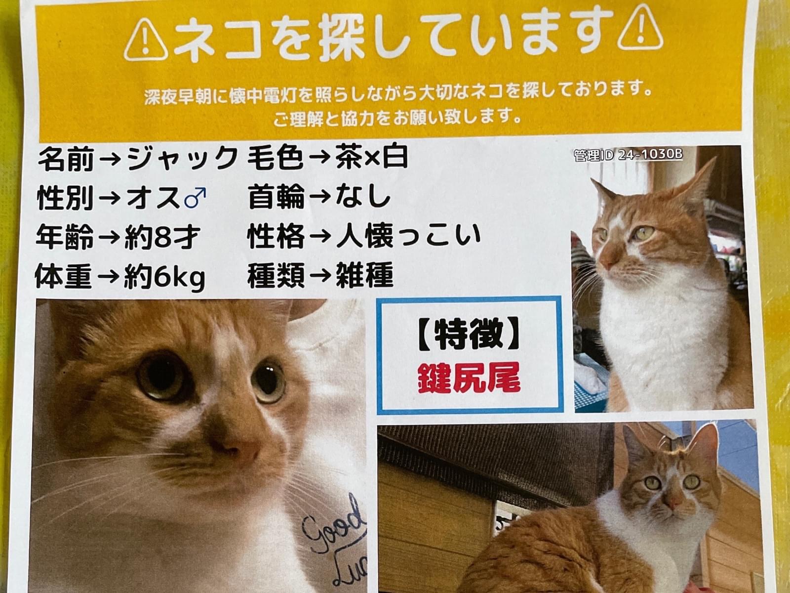 ジャックちゃん ジャックちゃん