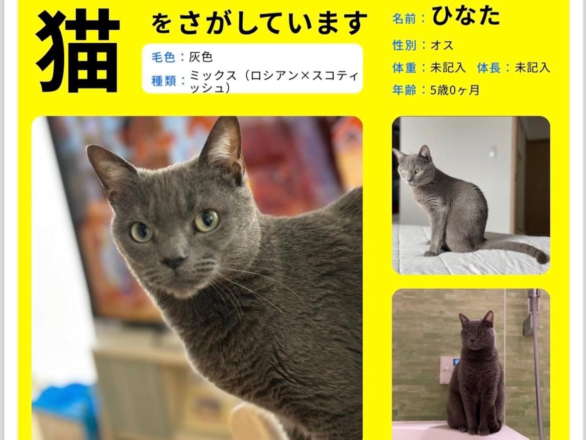 ひなたちゃん ひなたちゃん