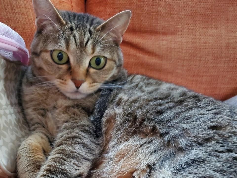 こうめちゃん こうめちゃん
