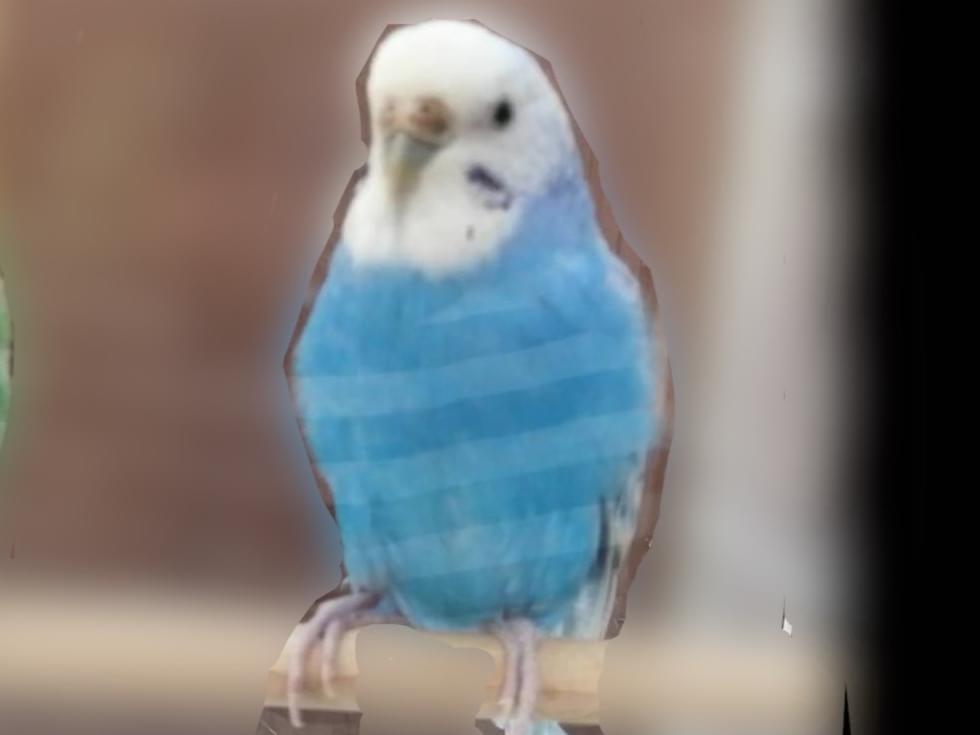 ラムネちゃん ラムネちゃん