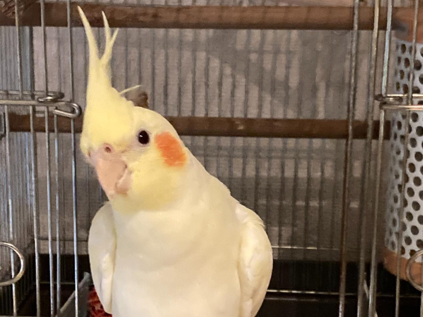 るちちゃん るちちゃん