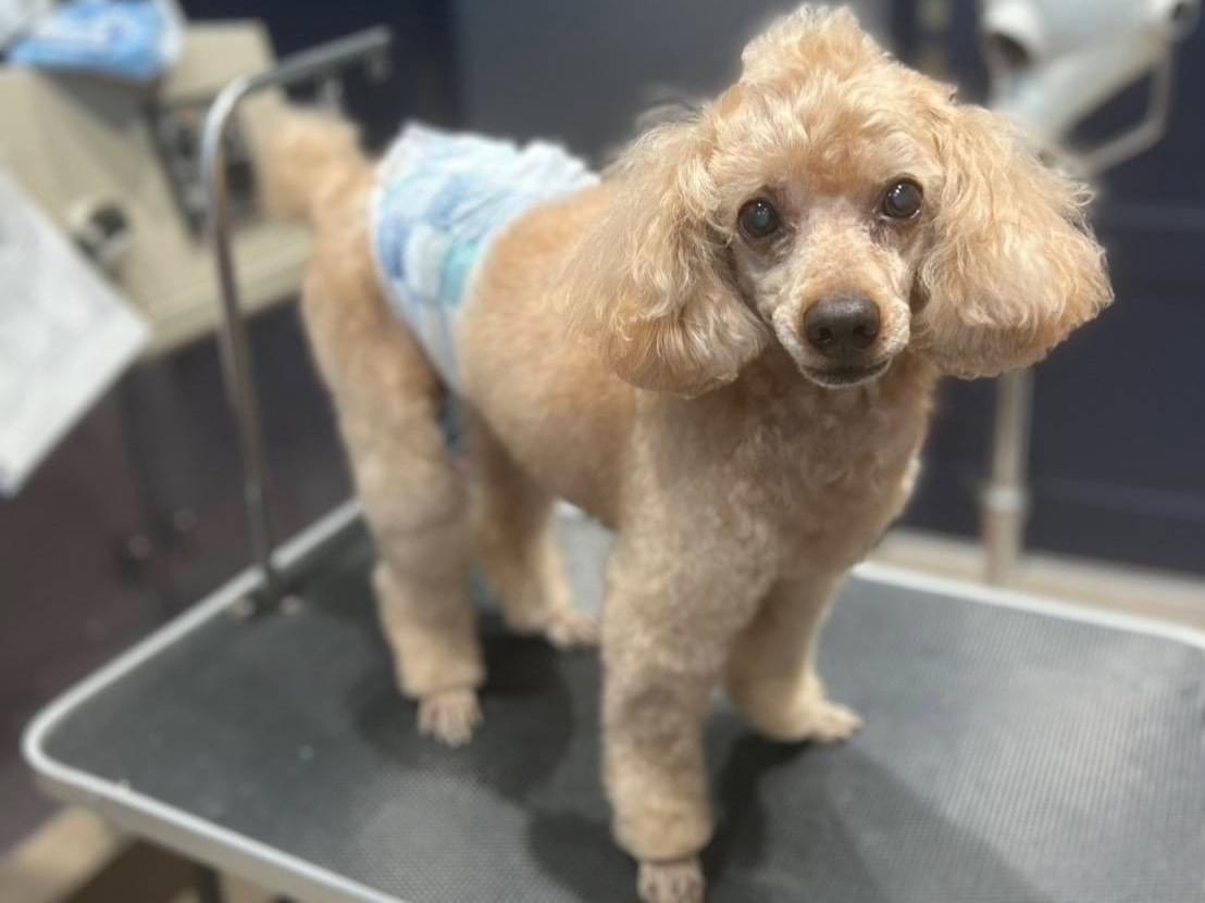 れおちゃん れおちゃん