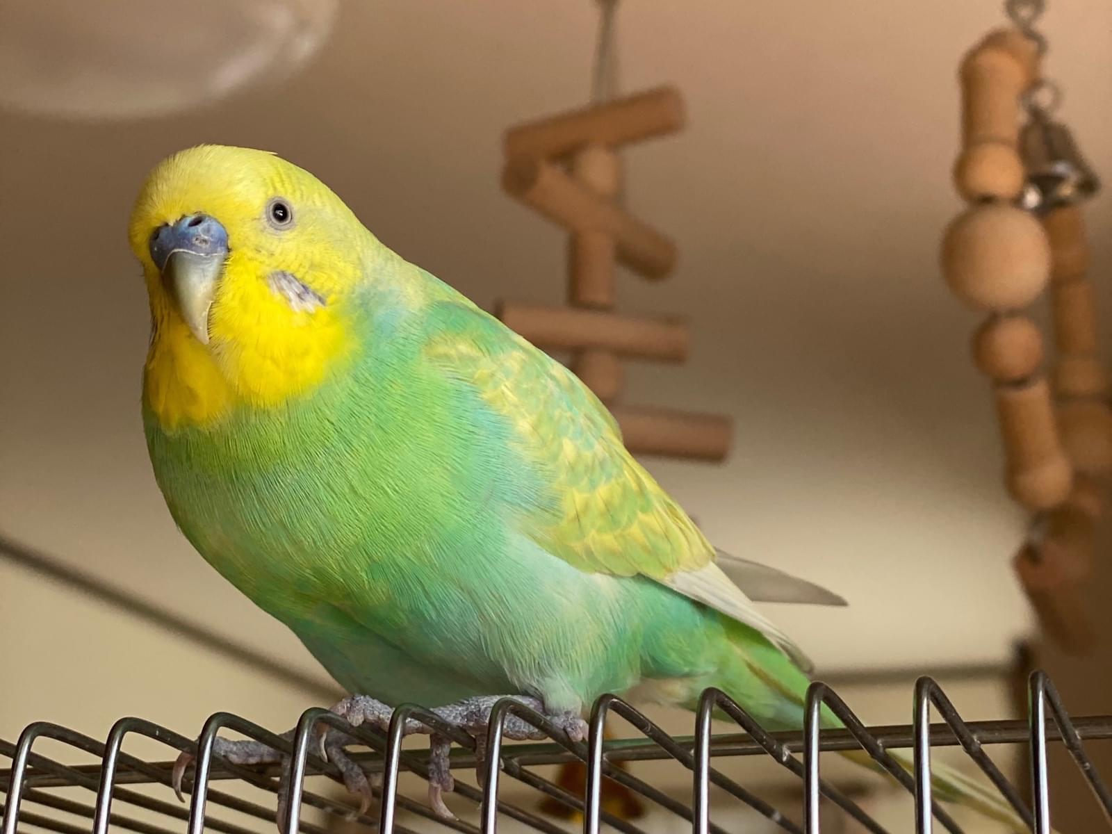なぎちゃん なぎちゃん