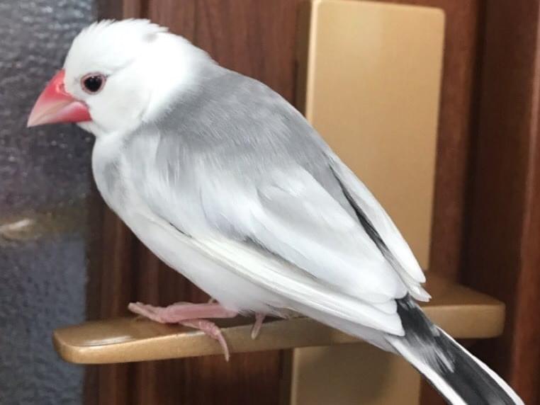 くーちゃん くーちゃん
