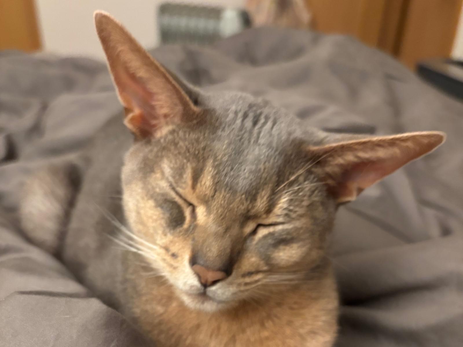 ニオちゃん ニオちゃん