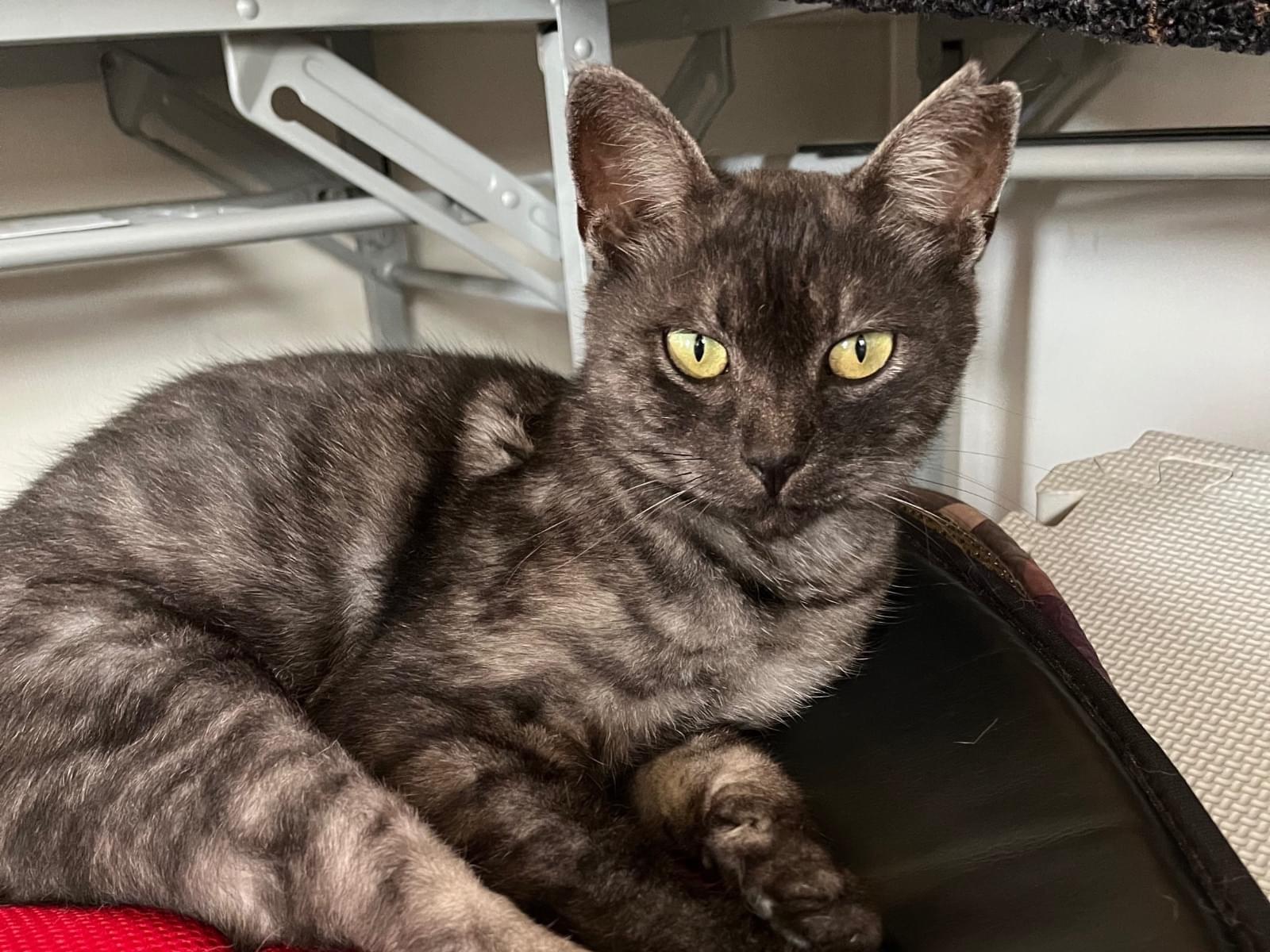 めいちゃん めいちゃん