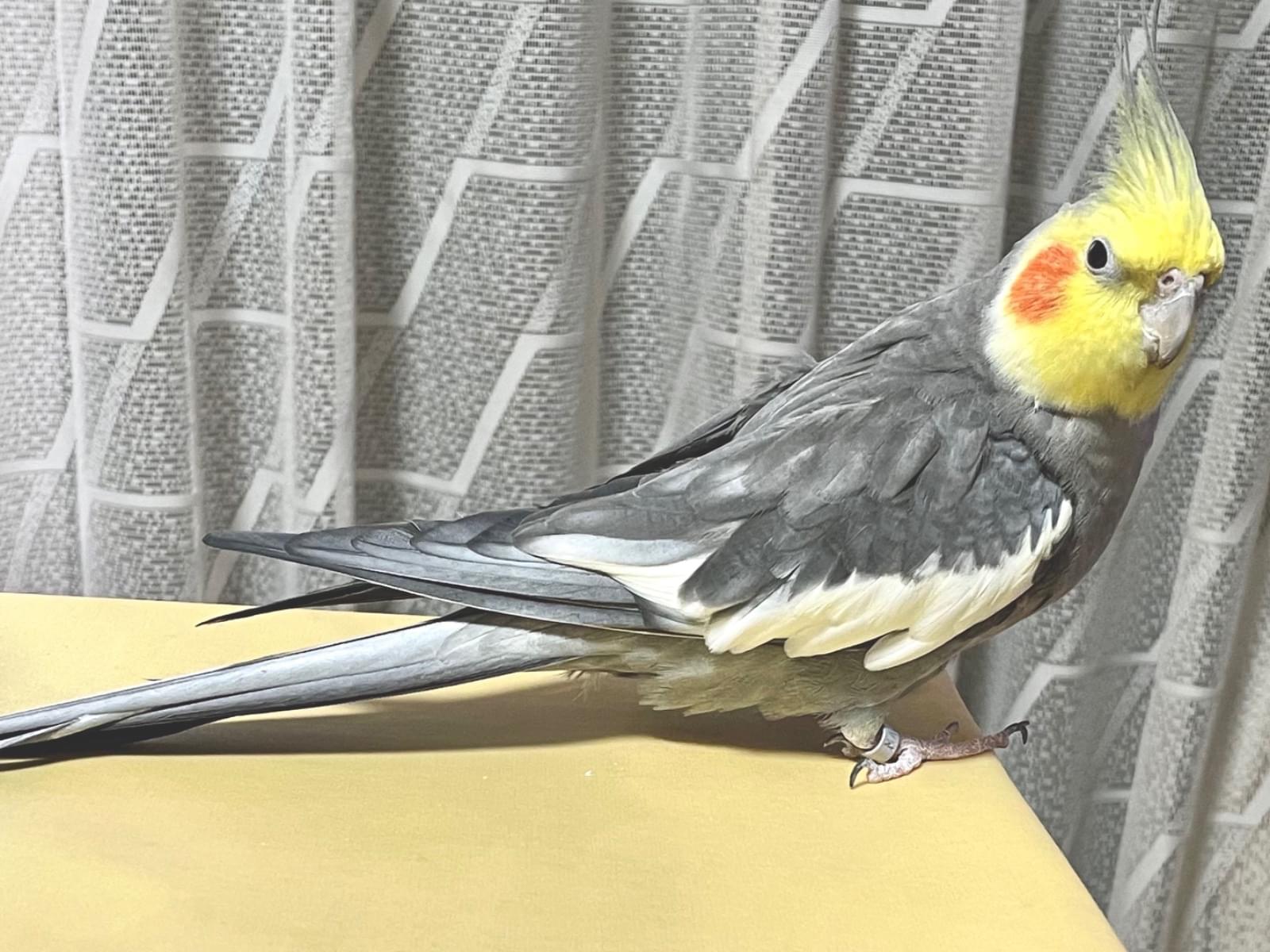 うたちゃん うたちゃん