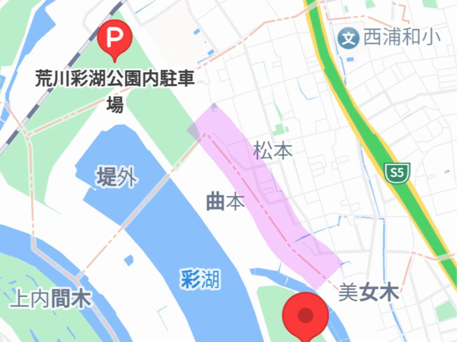 目撃された鳥 目撃された鳥