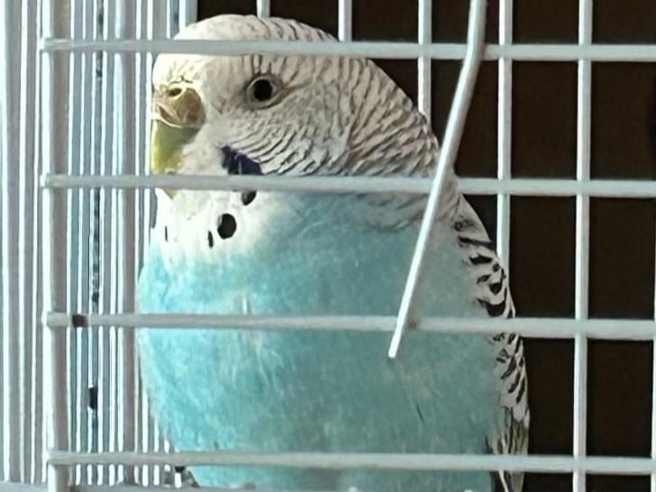 アオちゃん アオちゃん