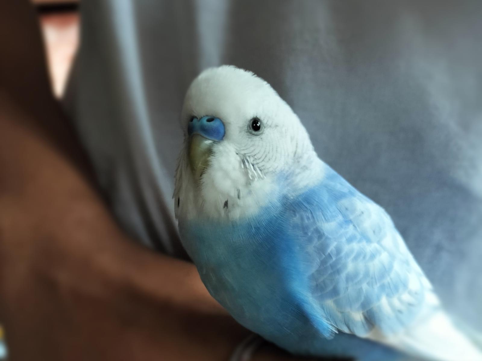 まめちゃん まめちゃん