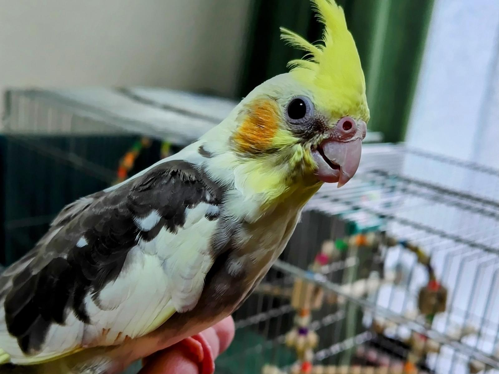 おっくんちゃん おっくんちゃん