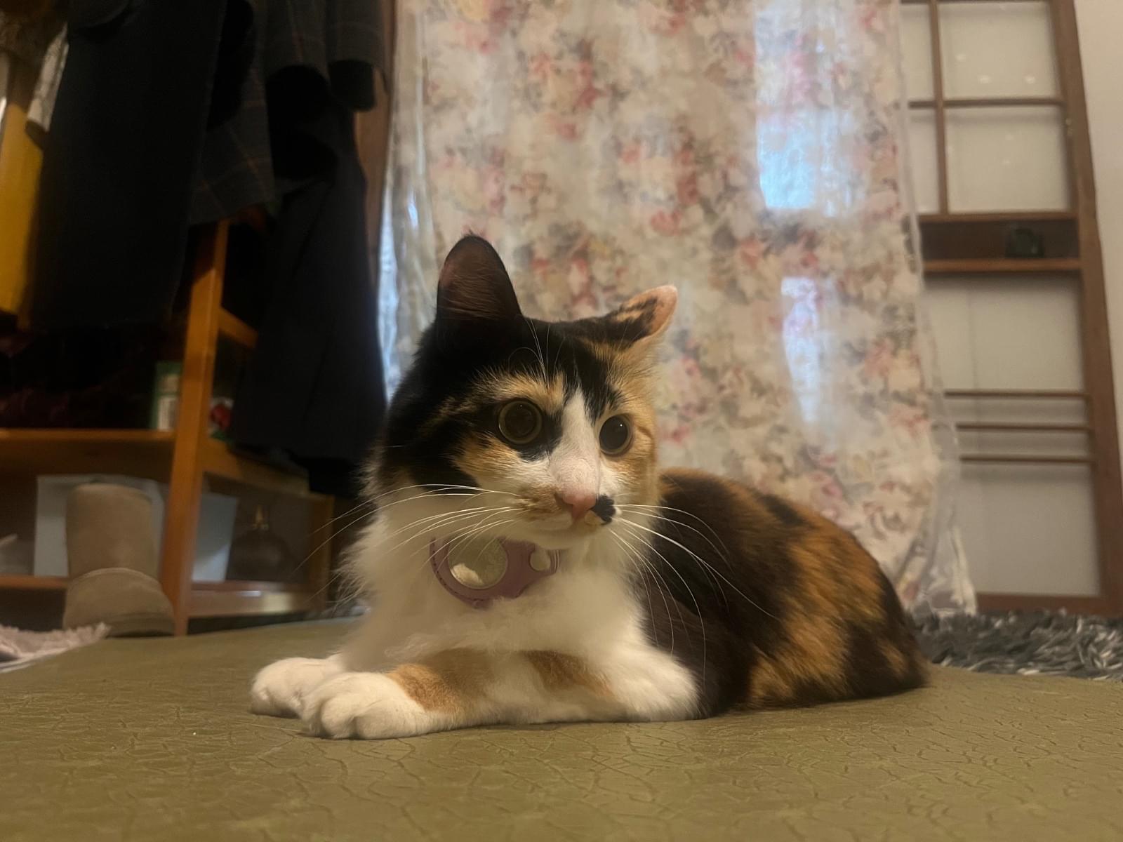 ゆずちゃん