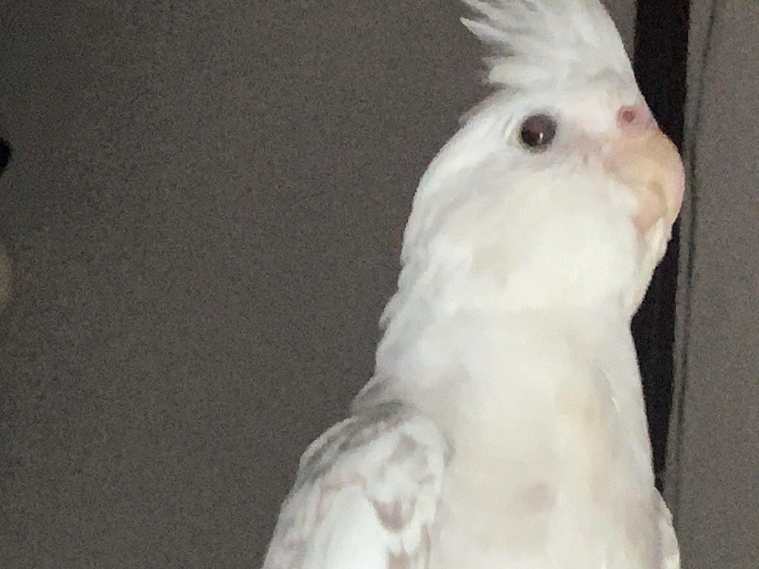 じろうちゃん じろうちゃん