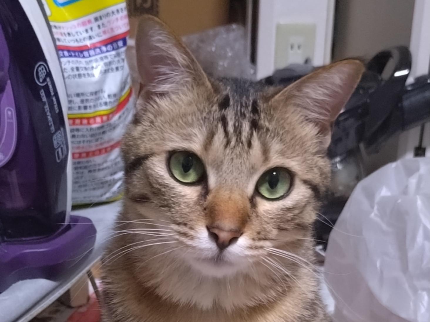 アメちゃん