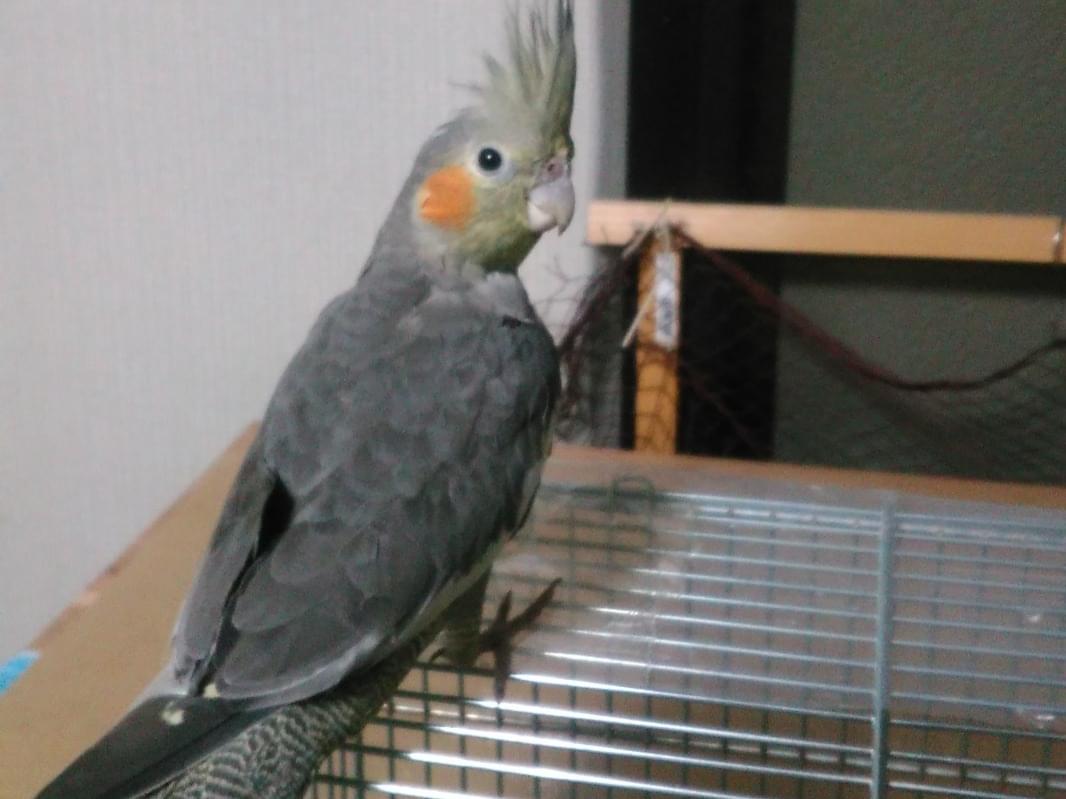 まるちゃん まるちゃん