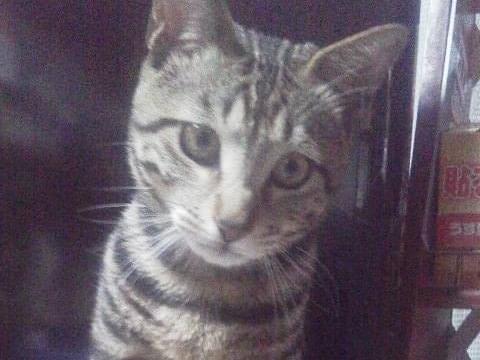 軸 じくちゃん 軸 じくちゃん