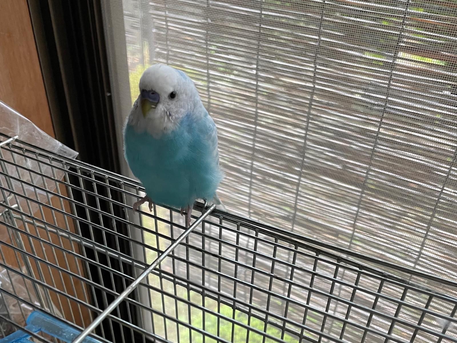 ちぃたらちゃん ちぃたらちゃん