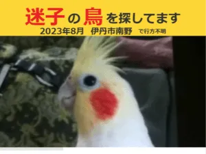 迷子ペットのデータベース