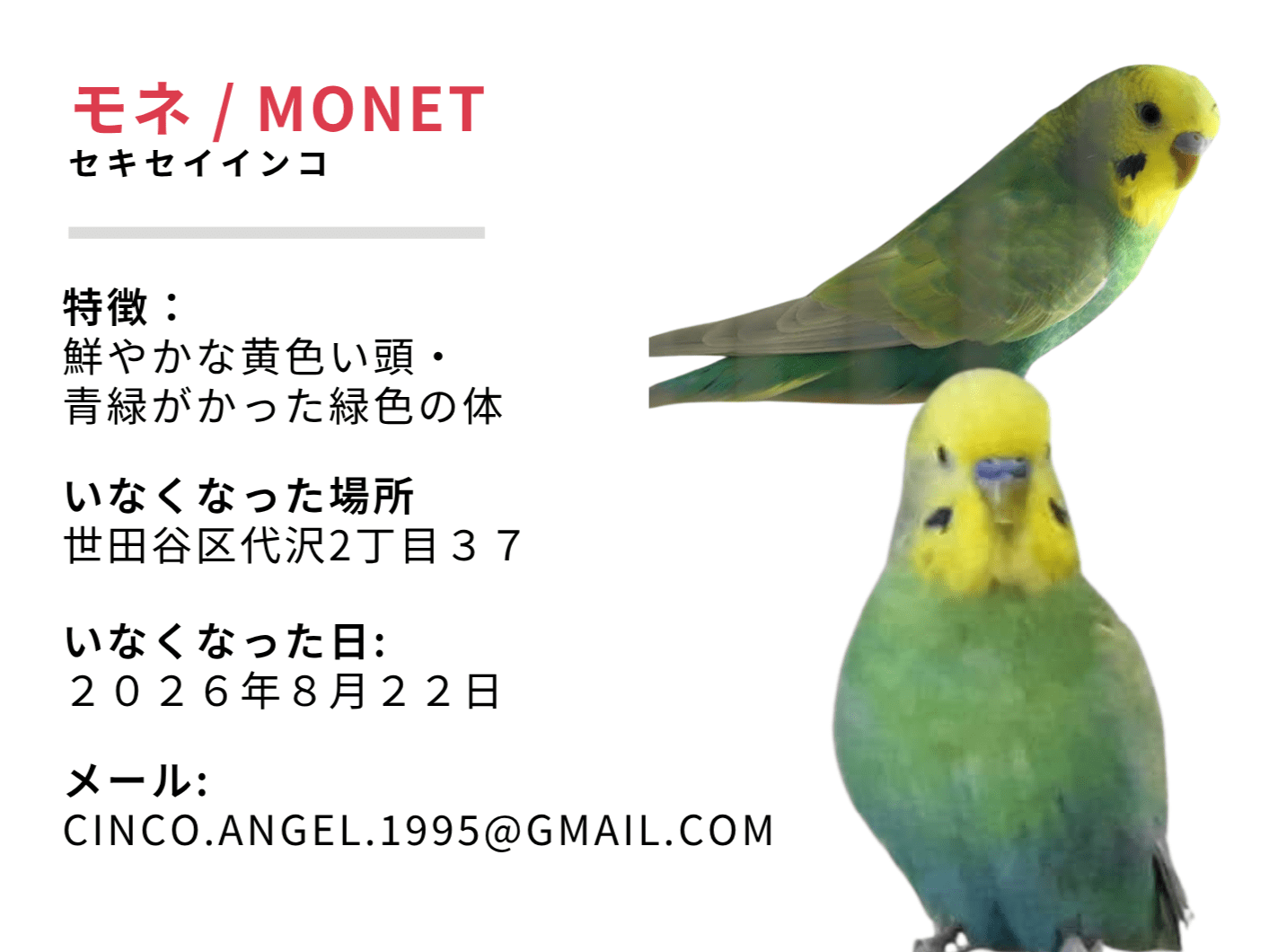モネ / MONETちゃん モネ / MONETちゃん
