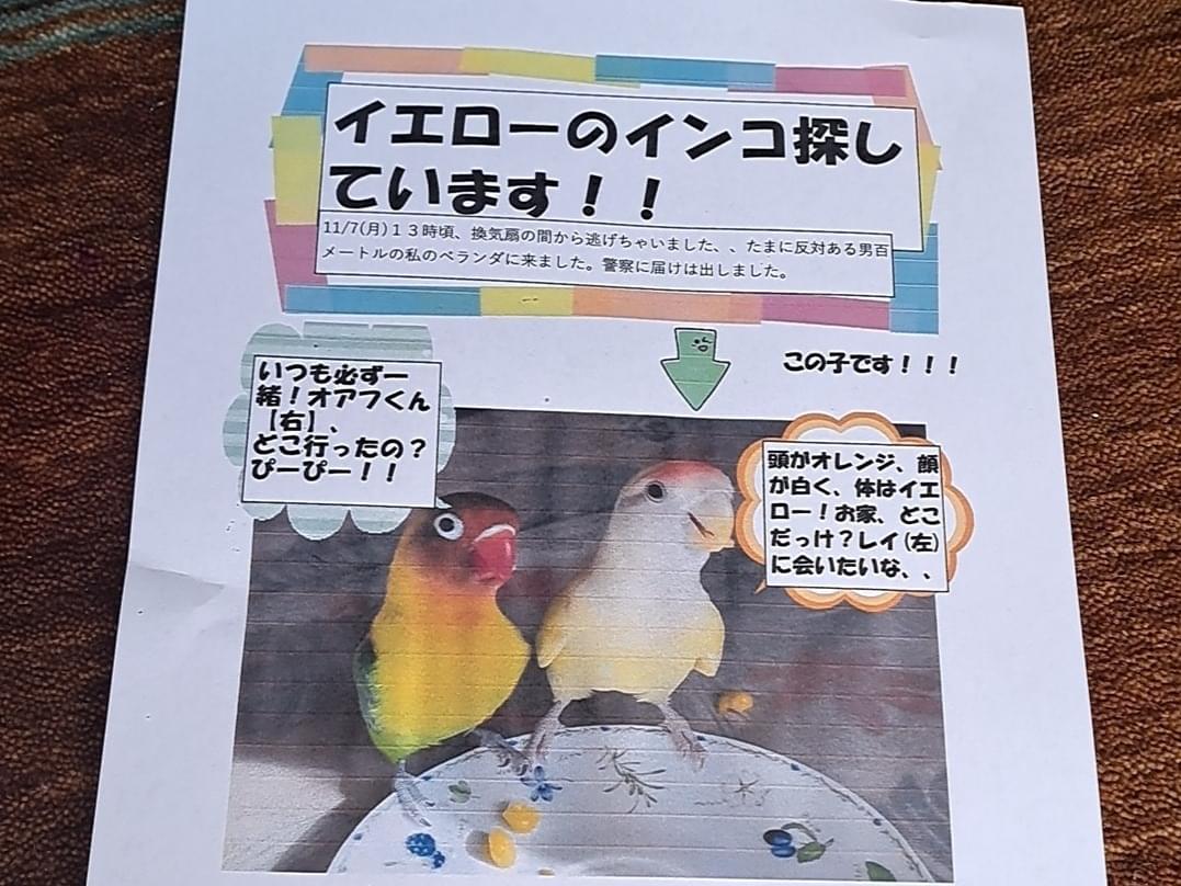 オアフちゃん オアフちゃん