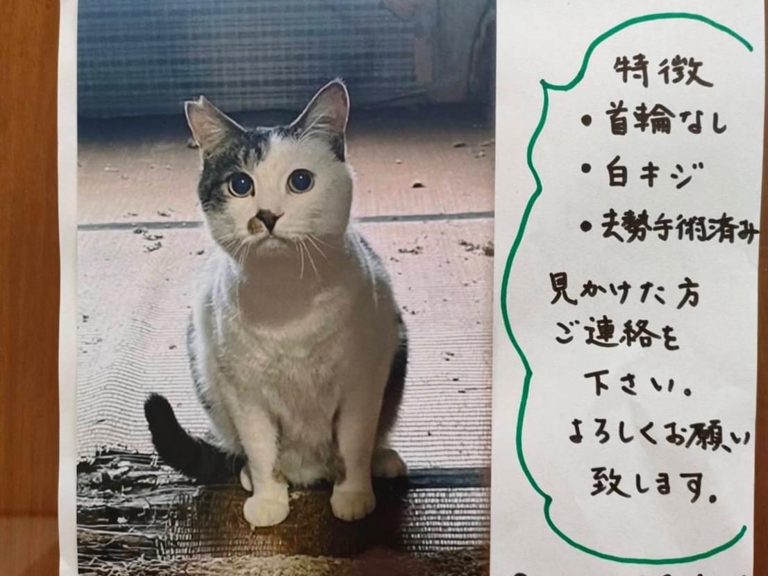 プクちゃん プクちゃん