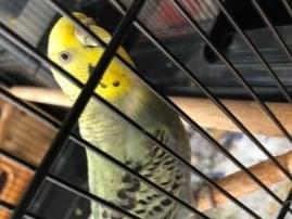-うみちゃん -うみちゃん