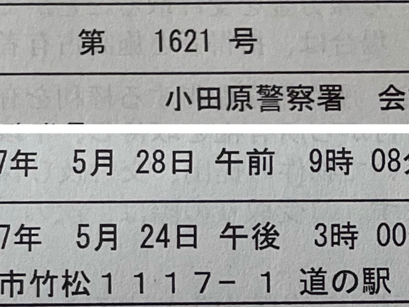 保護された鳥 保護された鳥