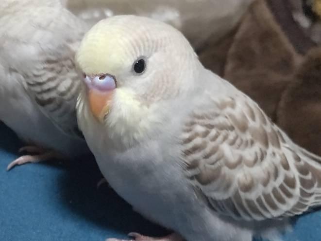 すずちゃん すずちゃん