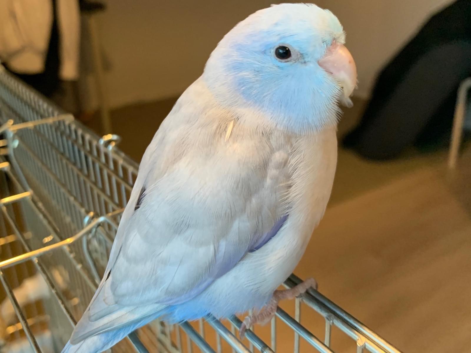 くうたろうちゃん くうたろうちゃん