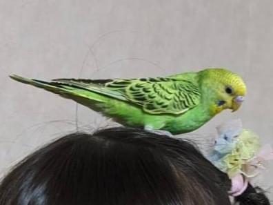 まめちゃん まめちゃん