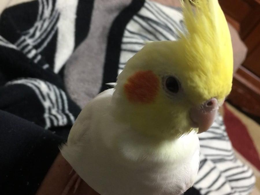 アールちゃん アールちゃん
