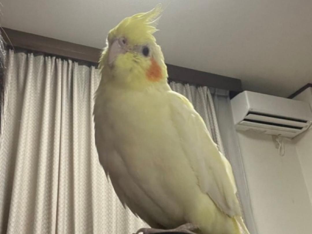 るいちゃん るいちゃん